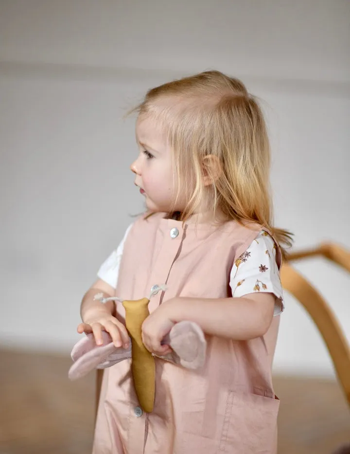 Activity Toy - Butterfly Misty Rose