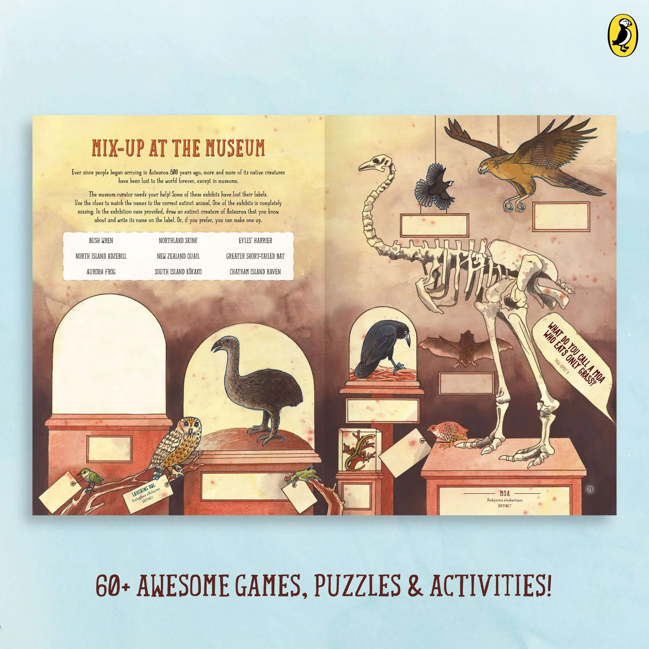 Amazing Aotearoa Activity Book