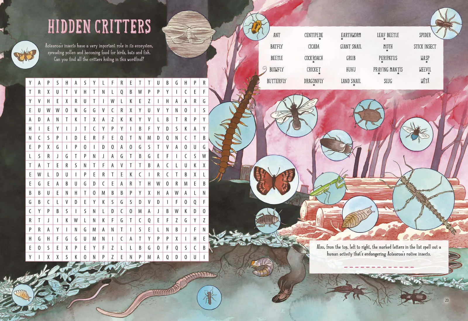 Amazing Aotearoa Activity Book