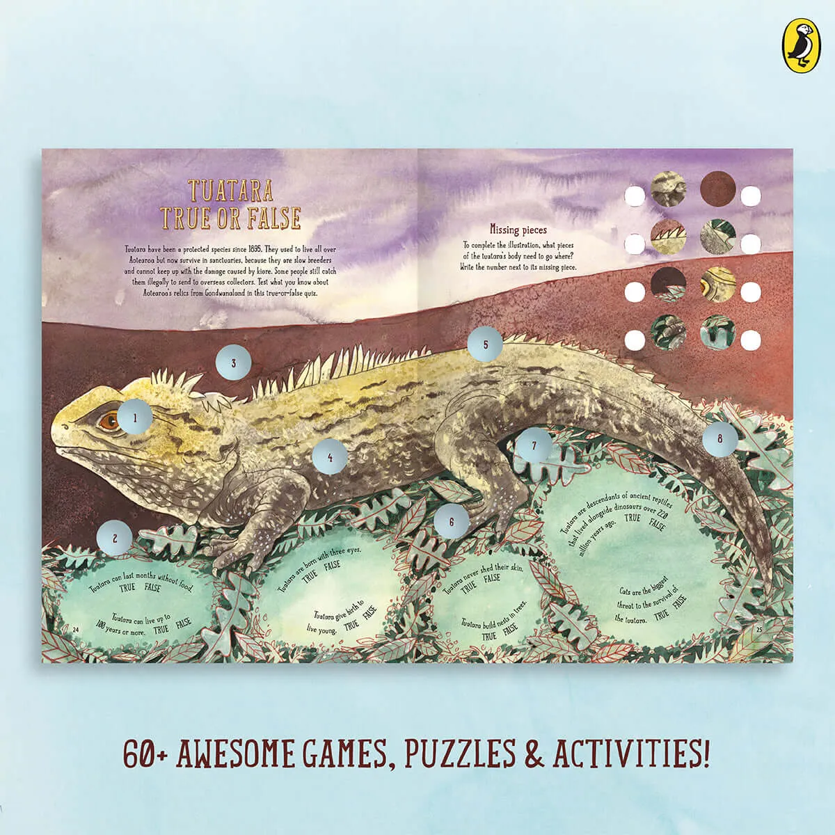 Amazing Aotearoa Activity Book