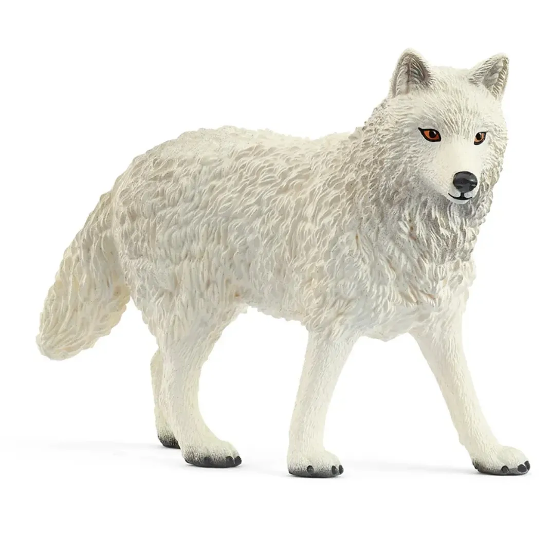 Arctic Wolf