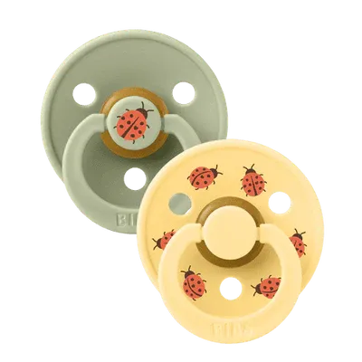 Bibs Pacifier - Studio Urban Garden Collection - Size 2 (6 - 18 Months)