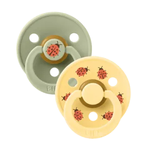 Bibs Pacifier - Studio Urban Garden Collection - Size 2 (6 - 18 Months)