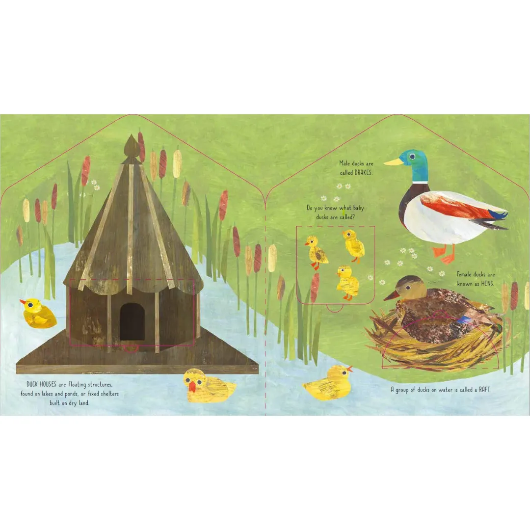 Bird House