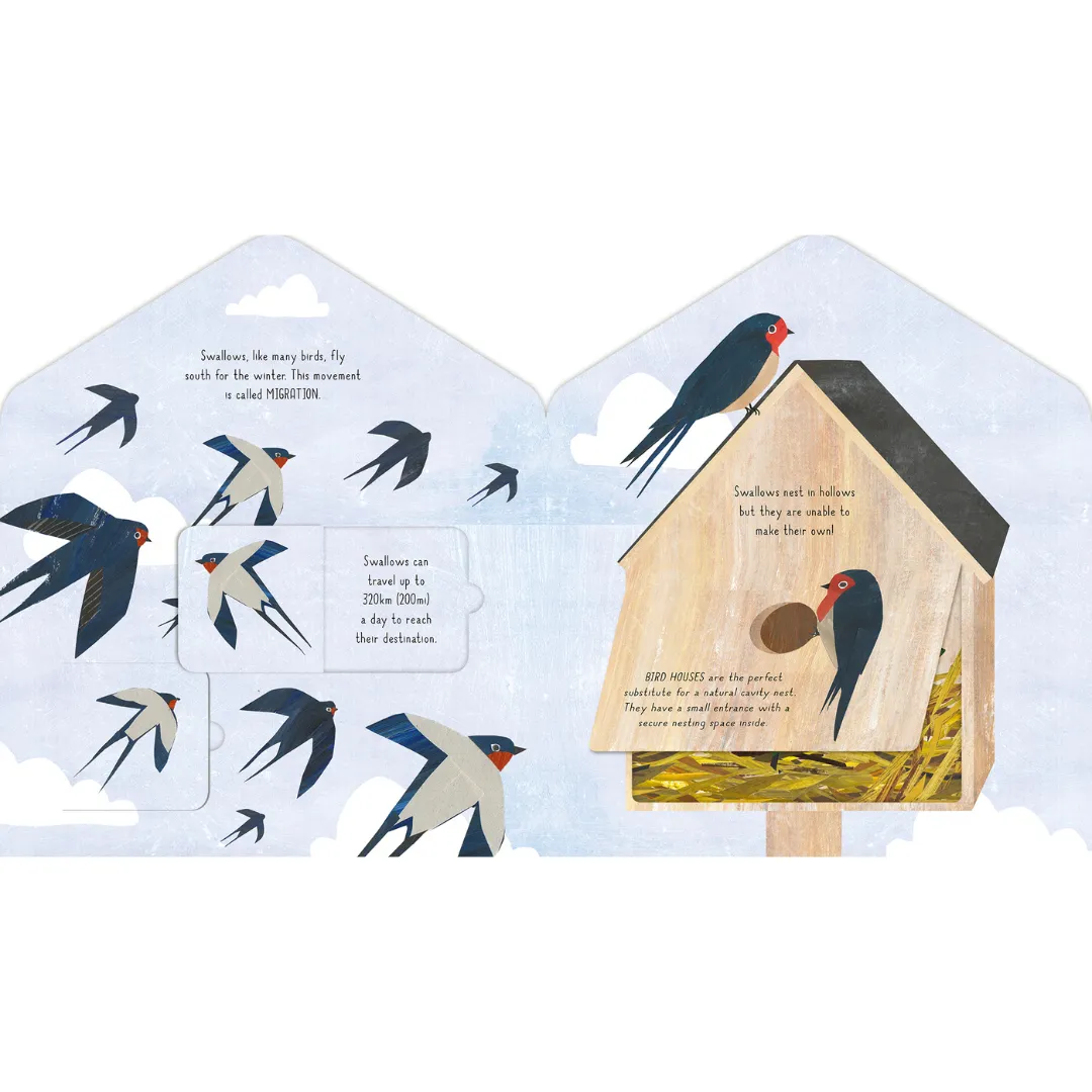 Bird House
