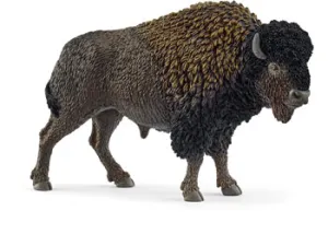 Bison