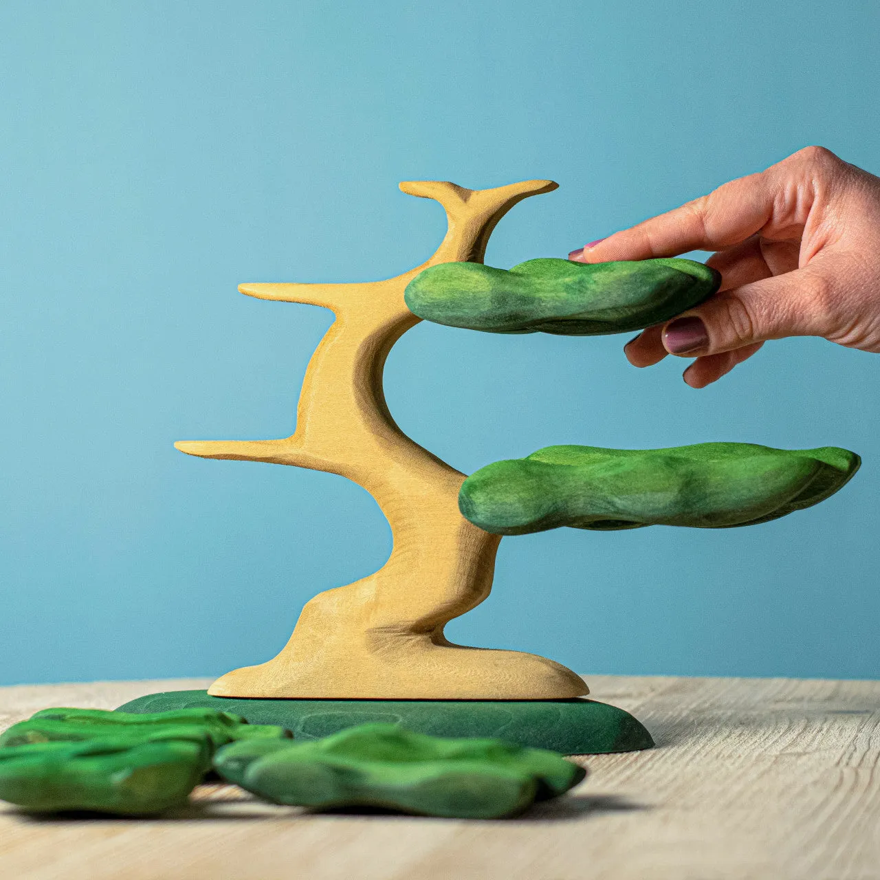 Bumbu Wooden Nature | Bonsai Tree