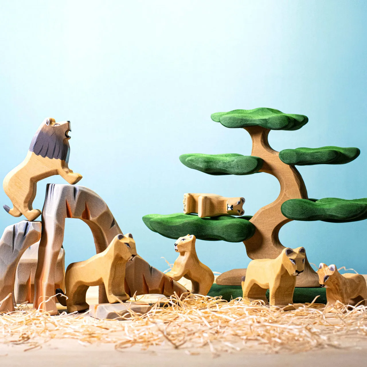 Bumbu Wooden Nature | Bonsai Tree
