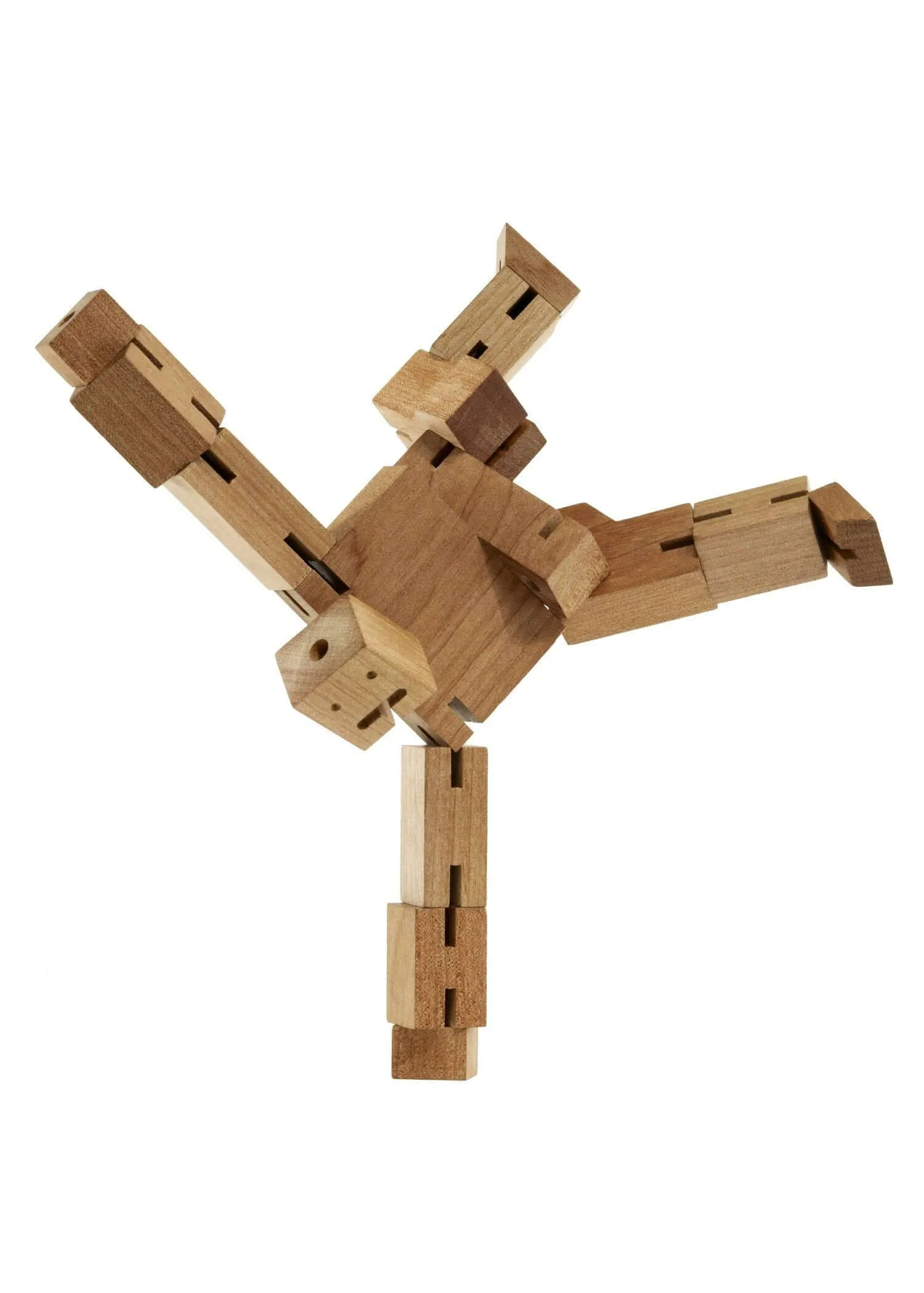 Cubebot Natural Small