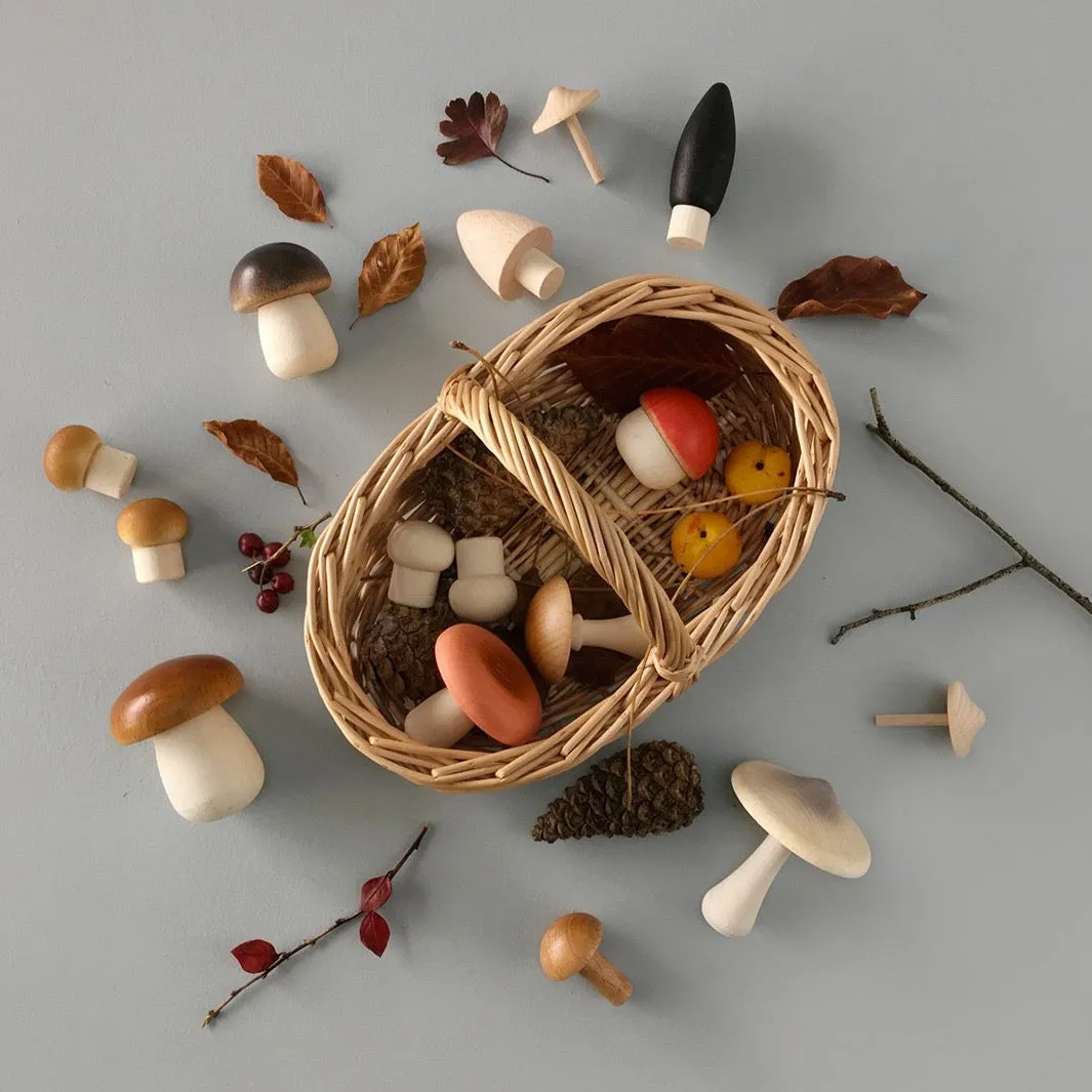 Forest Mushrooms Basket