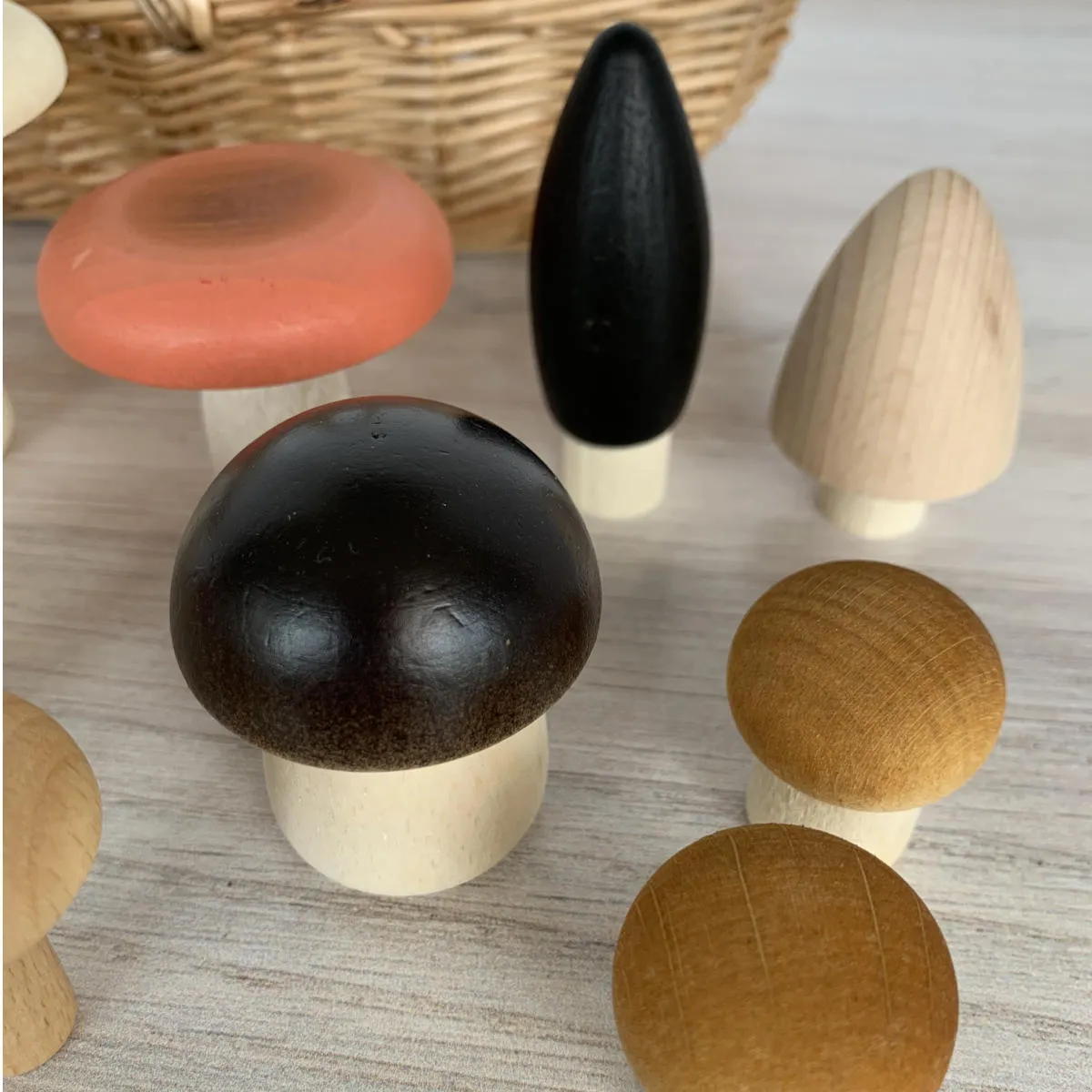 Forest Mushrooms Basket
