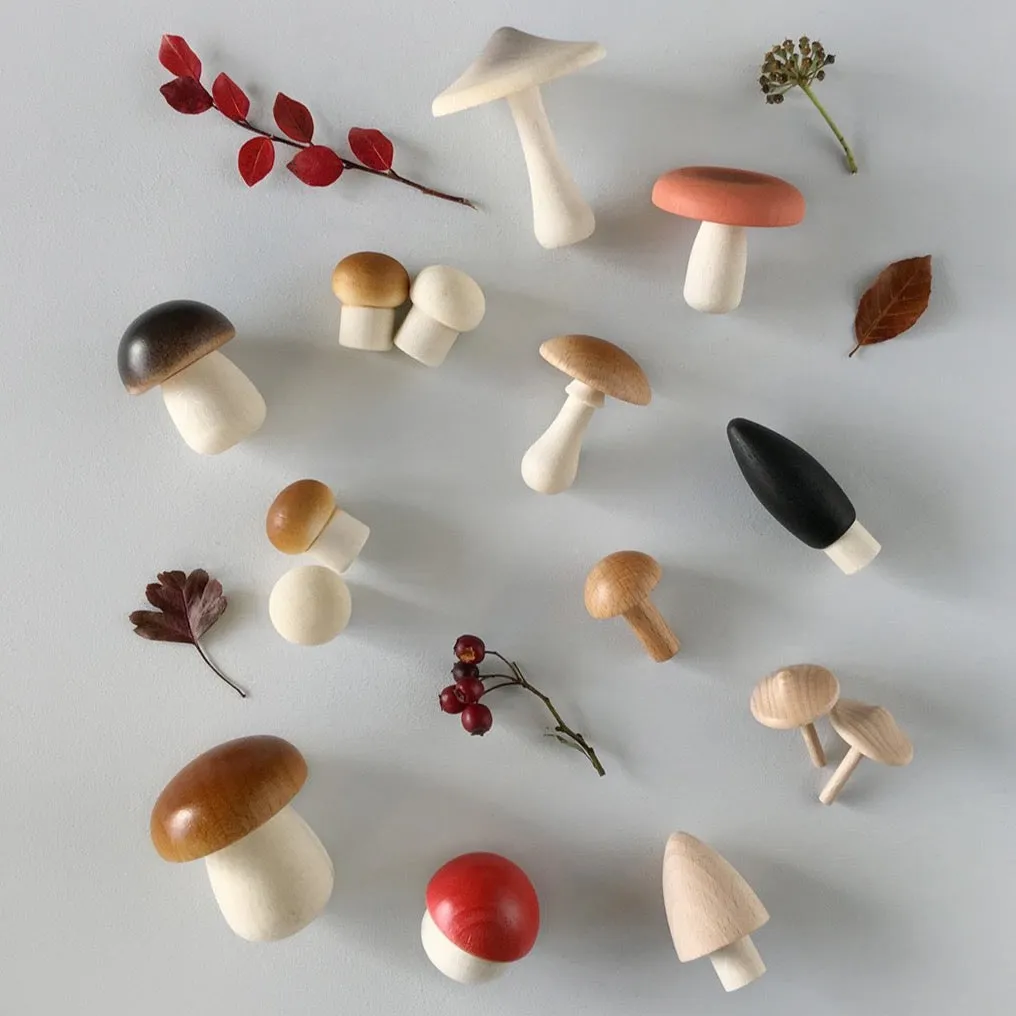 Forest Mushrooms Basket