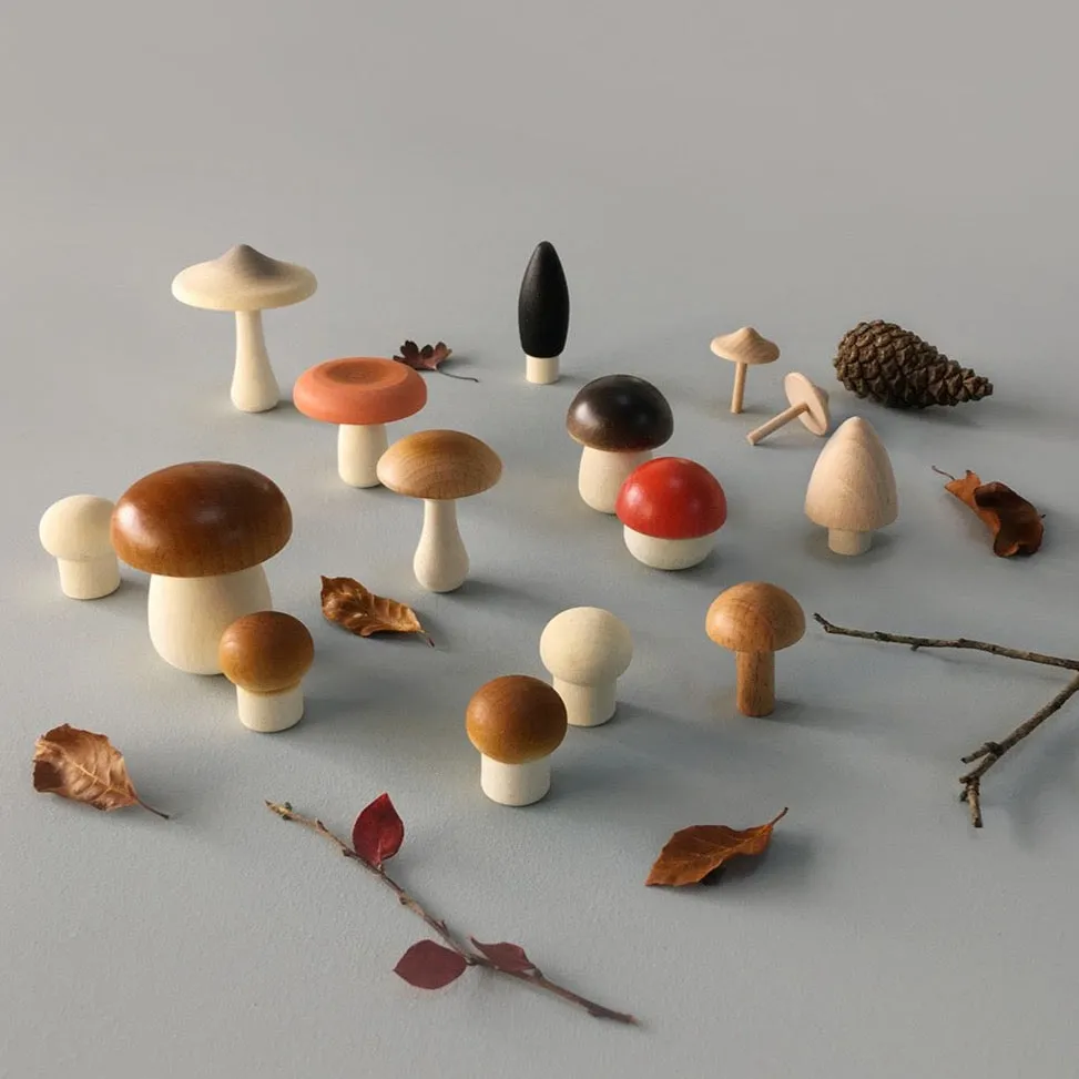 Forest Mushrooms Basket