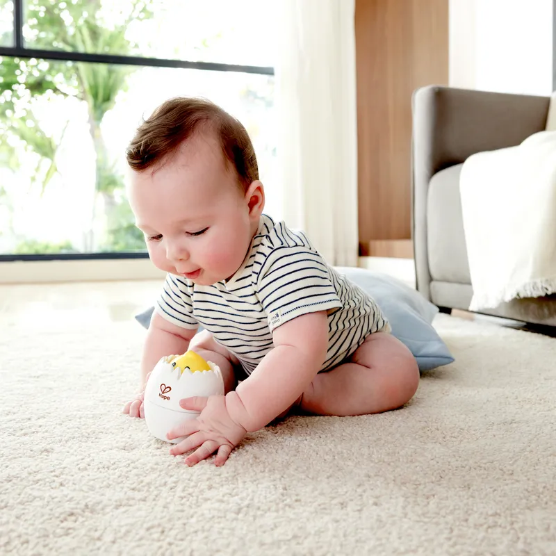 Hape Roll n Hatch