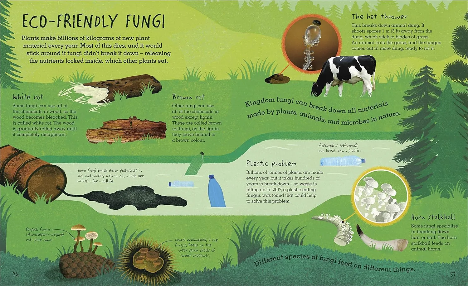 Humongous Fungus