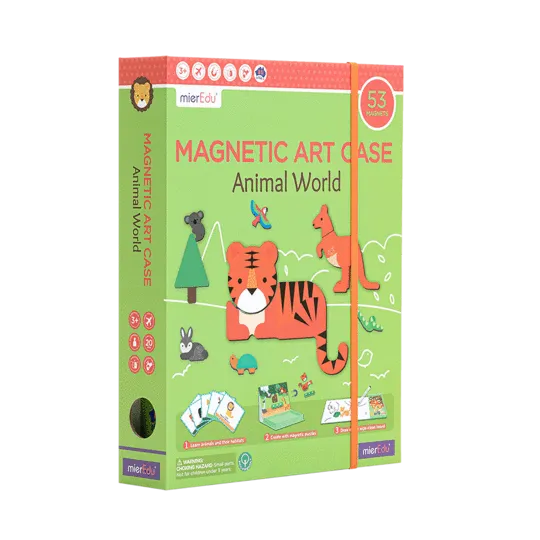 Magnetic Art Case