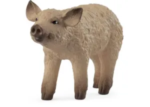 Mangalica Piglet