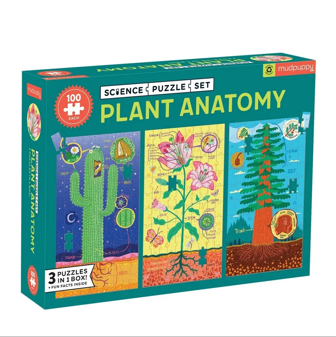 Mud Puppy Plant Anatomy Science Puzzle