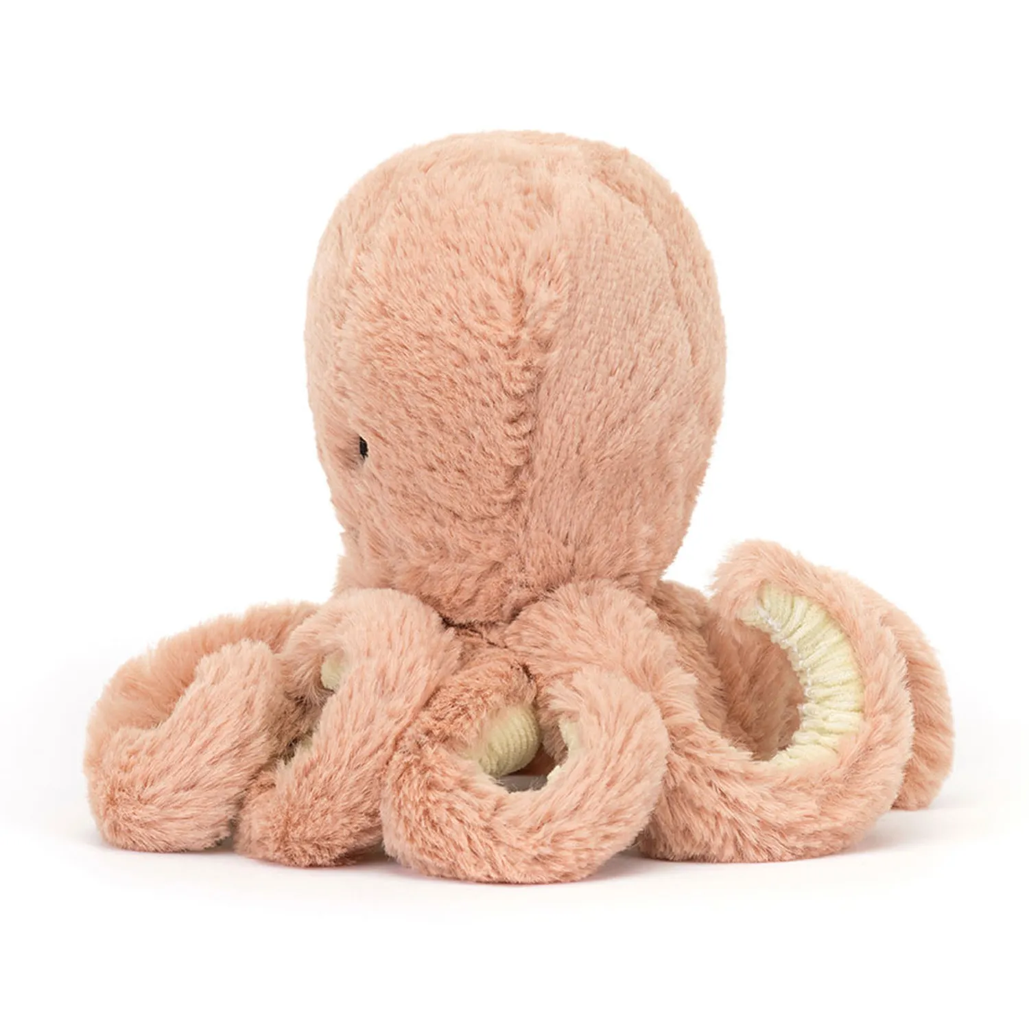 Odell Octopus