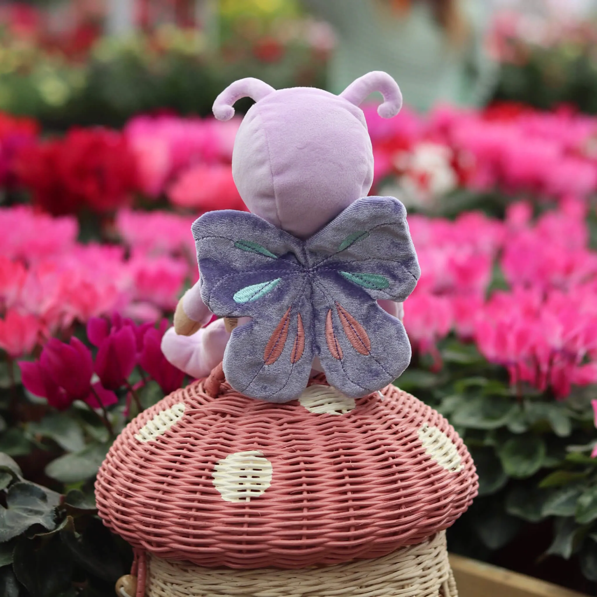 Olli Ella Backyard Buddies Betty Butterfly Dinky Dinkum: LOW STOCK