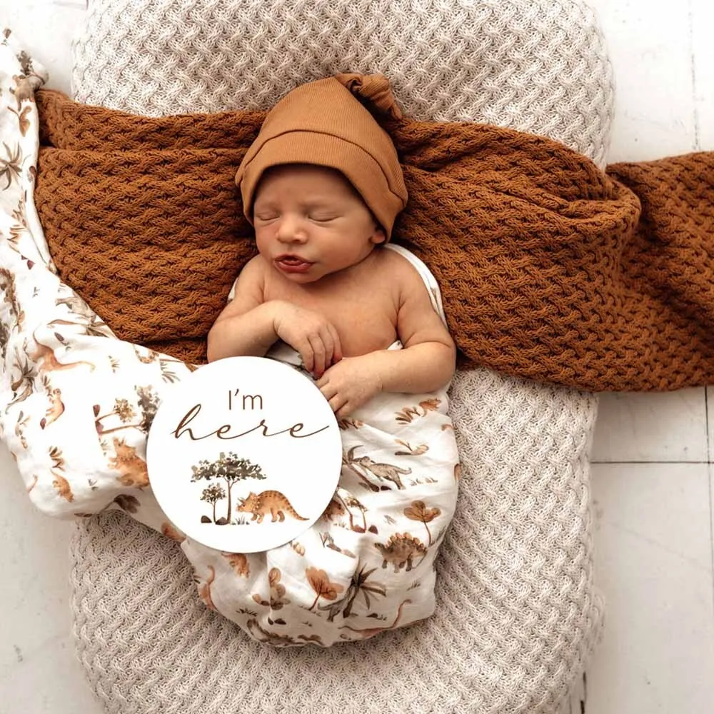 Organic Muslin Wrap | Dino