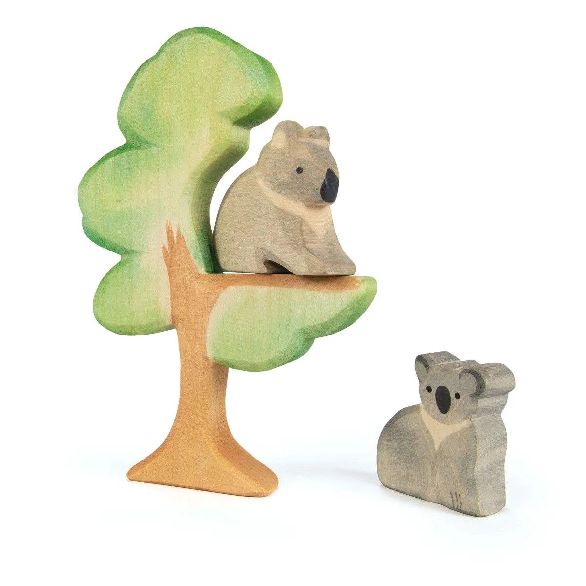 Ostheimer | Trees | Eucalyptus Tree
