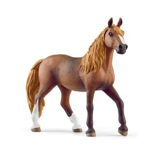 Peruvian Paso Mare