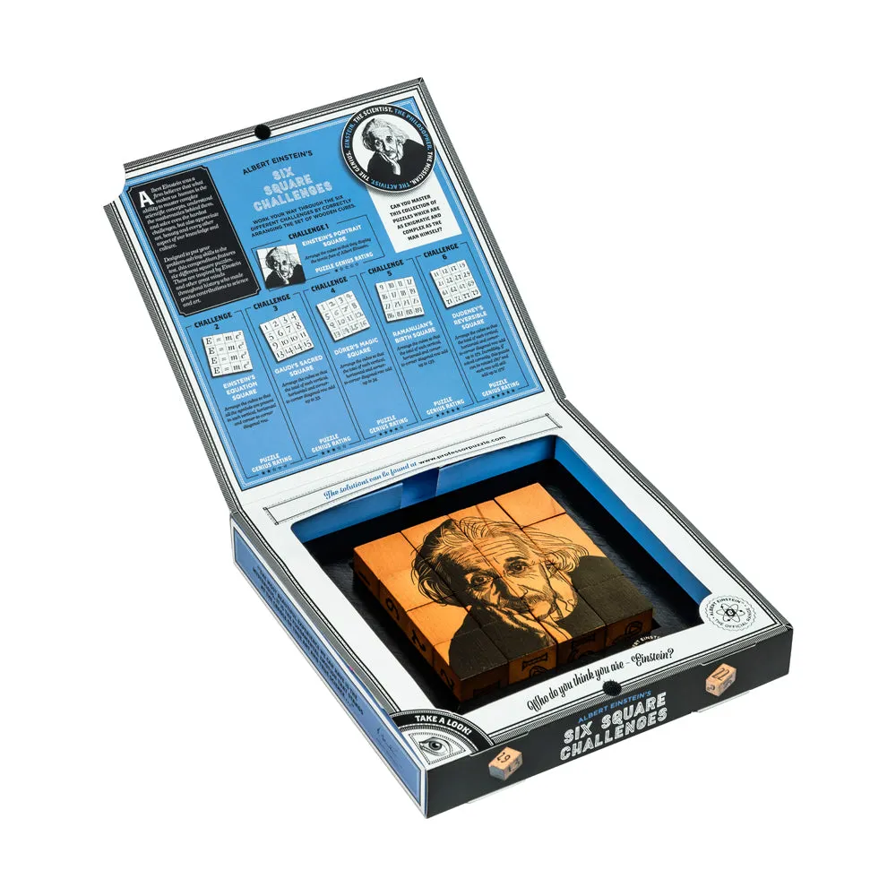 Professor Puzzle Albert Einstein 6-Pack Wooden Brain Teasers