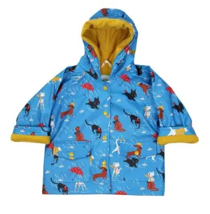 Raincoat - Cats & Dogs