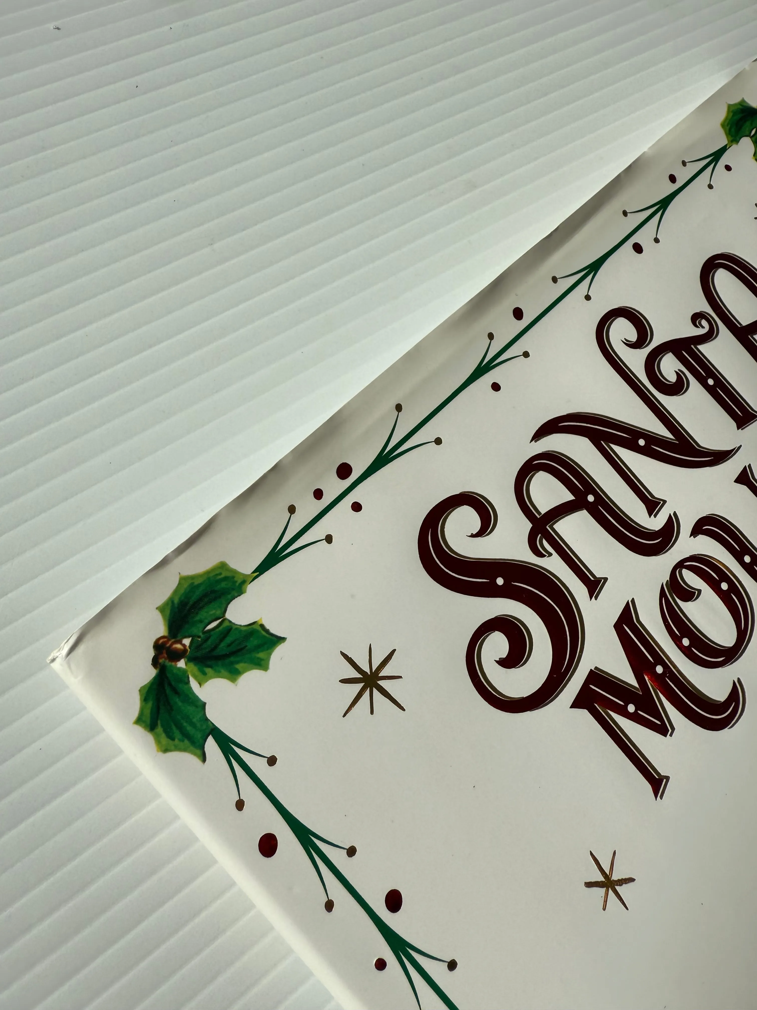 SECOND Santa Mouse