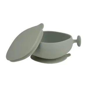 Silicone Bowl   Lid