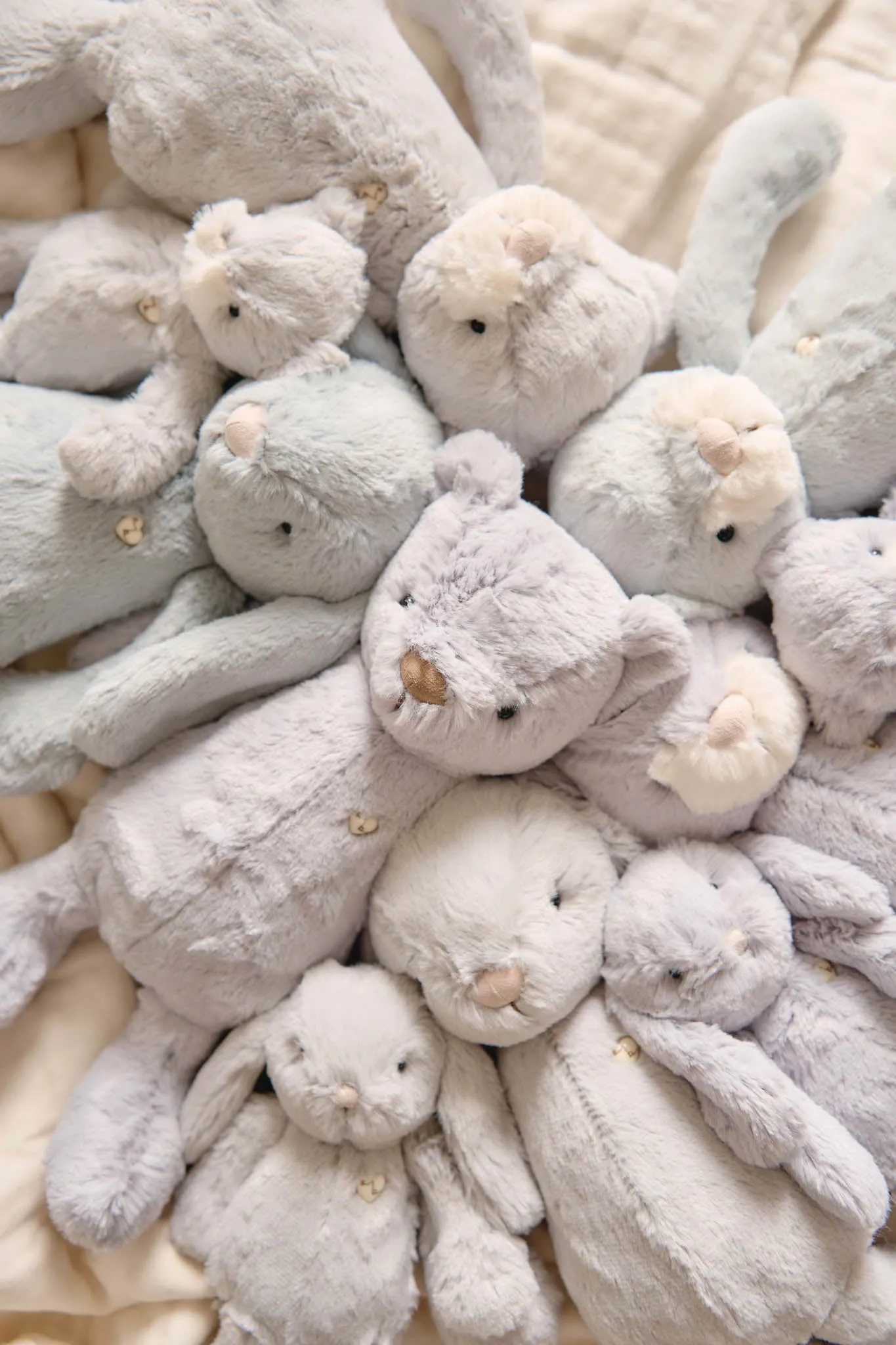 Snuggle Bunnies | Penelope the Bunny | Willow