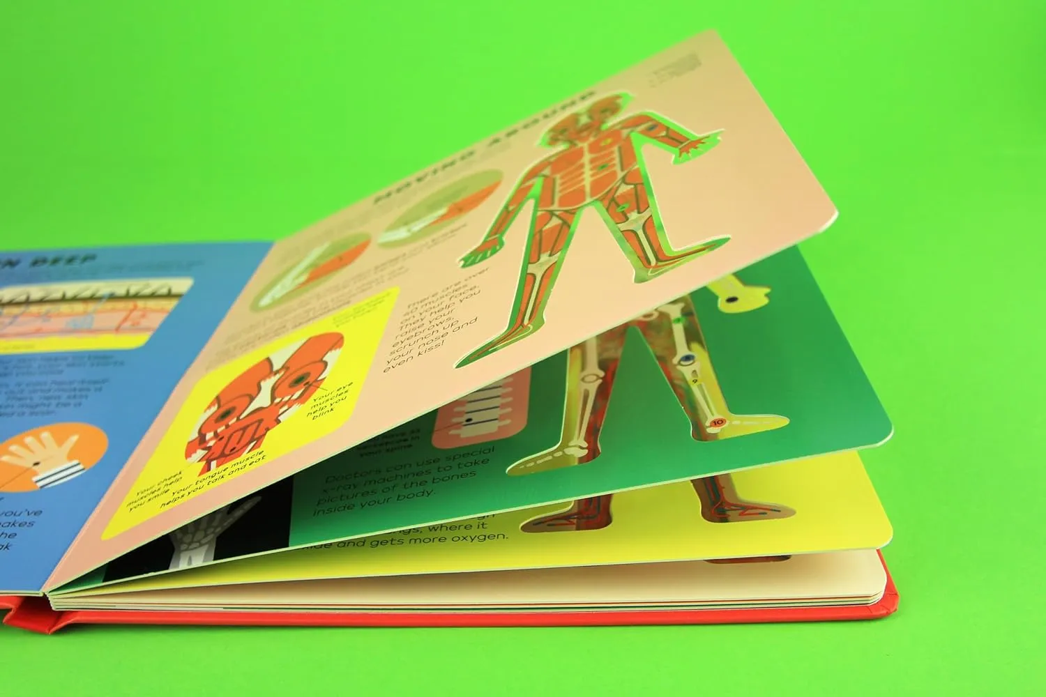 The Body Book