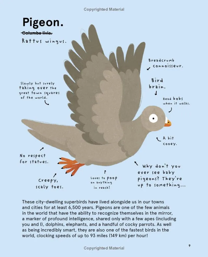 The World's Most Pointless Animals
