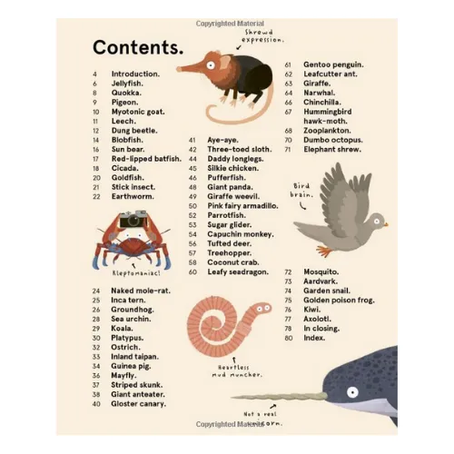 The World's Most Pointless Animals