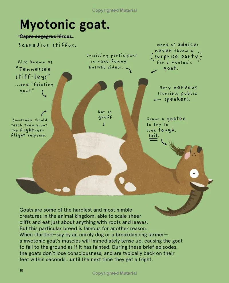The World's Most Pointless Animals