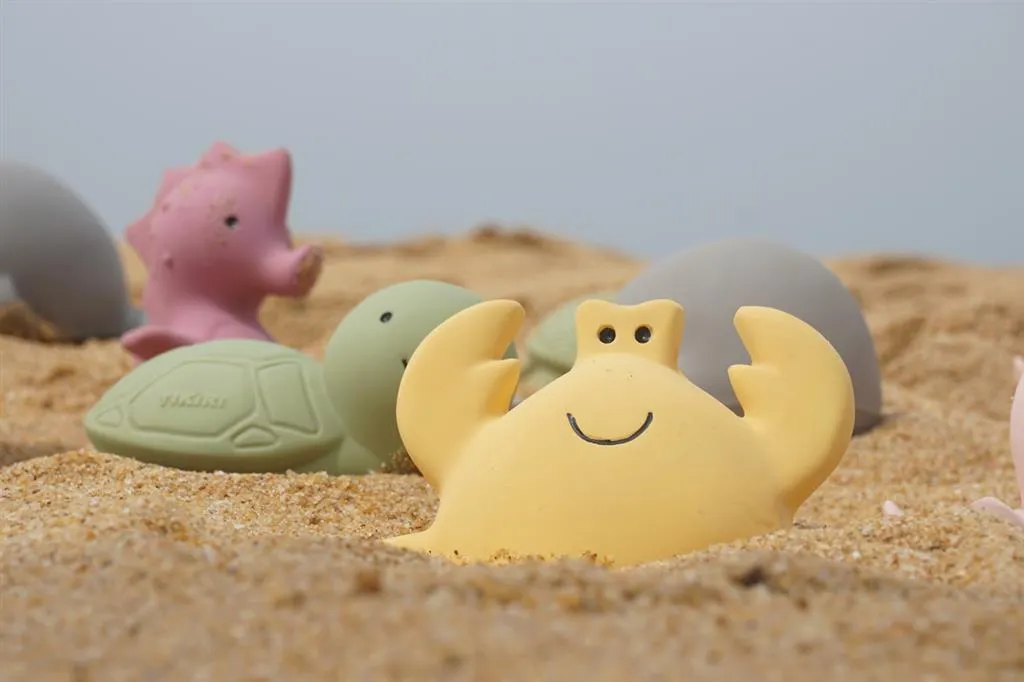 Tikiri Teether & Bath Toy | CRAB Gift Boxed